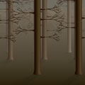 Tall Trees Background